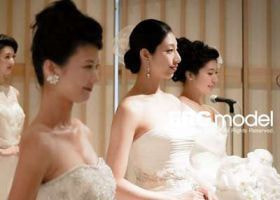 bridal dress show